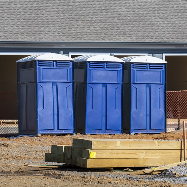 can i customize the exterior of the porta potties with my event logo or branding in Raisin City